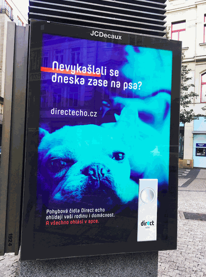 Direct Echo Ad banner