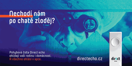 Direct Echo Ad