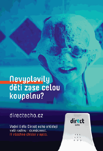 Direct Echo Ad